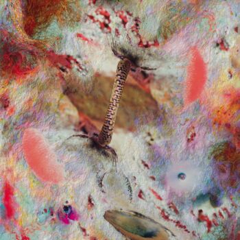 Painting titled "Meddle" by Dmitrii Shulkovich, Original Artwork, Collages