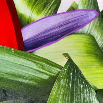 Painting titled "Nature Sexy" by Antoine Alran, Original Artwork, Acrylic Mounted on Wood Panel