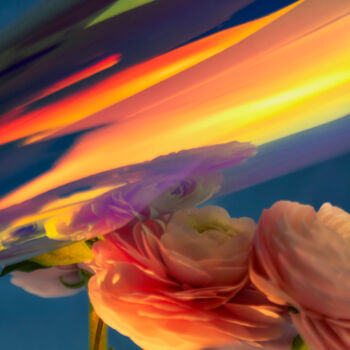 Photographie intitulée "Missing L.A. - Suns…" par Jana Call Me J, Œuvre d'art originale, Photographie non manipulée