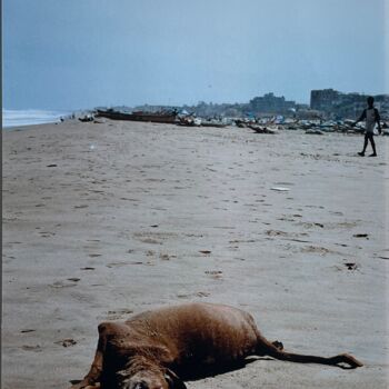 "The beast" başlıklı Fotoğraf Shank Arte tarafından, Orijinal sanat, Analog Fotoğrafçılık Karton üzerine monte edilmiş
