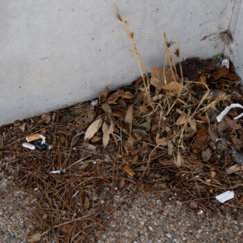 Fotografie getiteld "« Recoin Oublié » –…" door Coralie Dauzats, Origineel Kunstwerk, Digitale fotografie