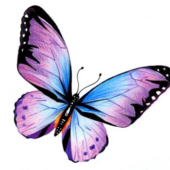 "Papillon de couleurs" başlıklı Resim Dimitri Prévot tarafından, Orijinal sanat, Kalem