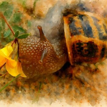 Digital Arts titled "Watercolor Snail &…" by M Alk, Original Artwork, Digital Painting