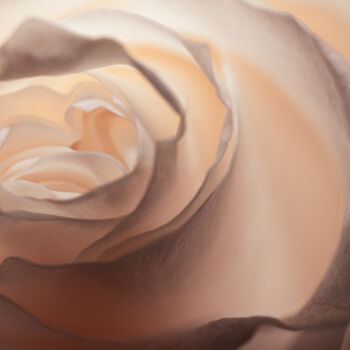 "Susurro de Luz" başlıklı Fotoğraf Alex Bold tarafından, Orijinal sanat, Dijital Fotoğrafçılık