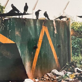 Фотография под названием "Indian crows" - Shank Arte, Подлинное произведение искусства, Пленочная фотография Установлен на к…