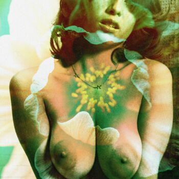 摄影 标题为“Floralisia III” 由- Indigo -, 原创艺术品, 操纵摄影