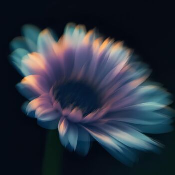 "Flower - The Fragil…" başlıklı Dijital Sanat Reskatorsilver tarafından, Orijinal sanat, AI tarafından oluşturulan görüntü