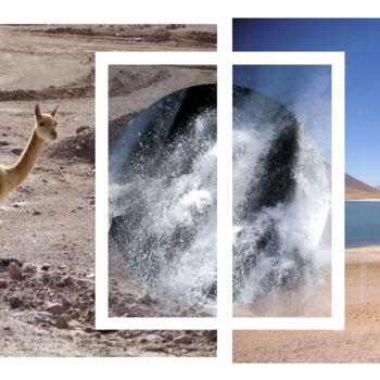 Arts numériques intitulée "VIGOGNES IN ATACAMA" par Evelyne Chevallier, Œuvre d'art originale, Collage numérique