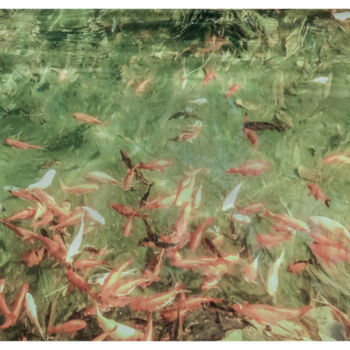 "Small Encounters" başlıklı Baskıresim Banu Muazzez Arpalı tarafından, Orijinal sanat, Fotoşoplu fotoğrafçılık