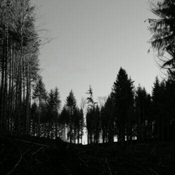 Photography titled "SUR LE CHEMIN DE L'…" by Eric Gizard, Original Artwork, Digital Photography Mounted on Aluminium