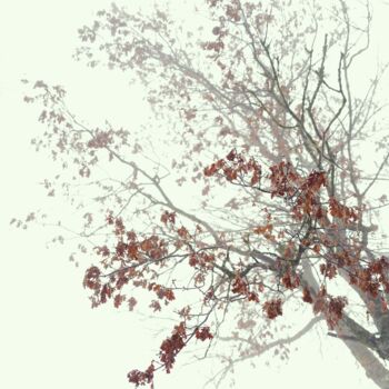 Photographie intitulée "DISPARTION 3" par Eric Gizard, Œuvre d'art originale, Photographie numérique Monté sur Aluminium