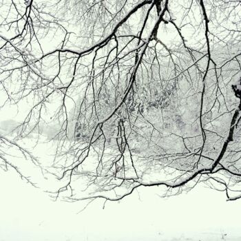 Photographie intitulée "SUR LE CHEMIN DE L'…" par Eric Gizard, Œuvre d'art originale, Photographie numérique Monté sur Alumi…