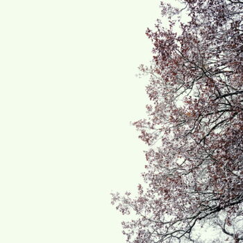 Fotografia intitulada "HIVER COUMEUR" por Eric Gizard, Obras de arte originais, Fotografia digital Montado em Alumínio