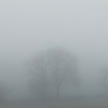 Fotografia intitulada "DISPARTION 4" por Eric Gizard, Obras de arte originais, Fotografia digital Montado em Alumínio