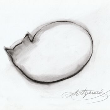 Drawing titled "White Cat" by Anastasija Terskiha, Original Artwork, Charcoal