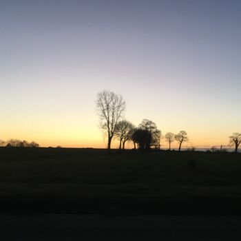 Fotografia intitulada "l'arbre qui marche" por Eric Gizard, Obras de arte originais, Fotografia digital Montado em Alumínio