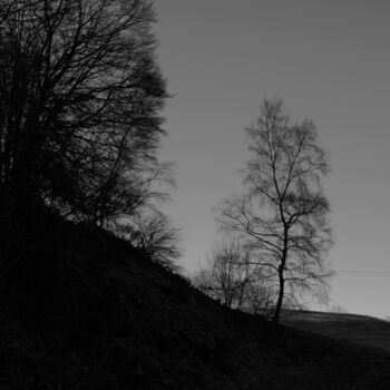 Photographie intitulée "SUR LE CHEMIN DE L'…" par Eric Gizard, Œuvre d'art originale, Photographie numérique Monté sur Alumi…