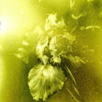 Painting titled "With butterflies." by Alla Prisakar., Original Artwork, Watercolor