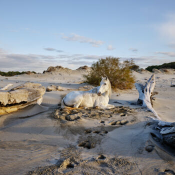 Photographie intitulée "Camargue #2" par Giulio Di Sturco, Œuvre d'art originale, Photographie numérique