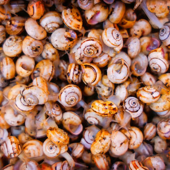 Фотография под названием "Snail Symphony" - Diego Ben Karlsson, Подлинное произведение искусства, Цифровая фотография