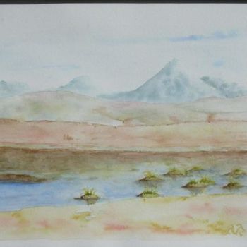 Peinture intitulée "Plaine du Chili" par Nathalie Torrents, Œuvre d'art originale