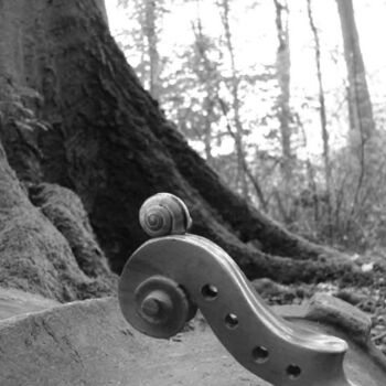 "woodfiddle" başlıklı Fotoğraf Rob Arbouw tarafından, Orijinal sanat