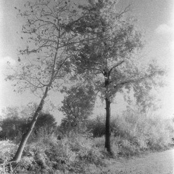 Fotografia intitolato "Untitled" da Gianluca Faletti, Opera d'arte originale