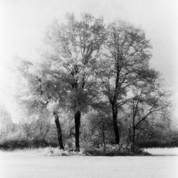 Fotografia intitolato "Untitled" da Gianluca Faletti, Opera d'arte originale