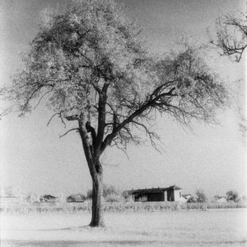 Fotografia intitolato "Untitled" da Gianluca Faletti, Opera d'arte originale