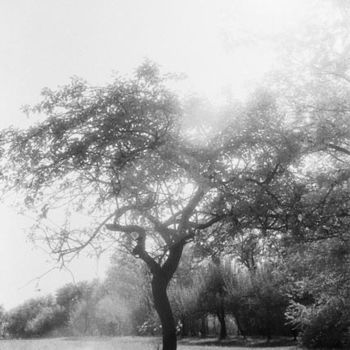 Fotografia intitolato "Untitled" da Gianluca Faletti, Opera d'arte originale