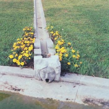 Fotografia intitolato "Untitled" da Gianluca Faletti, Opera d'arte originale