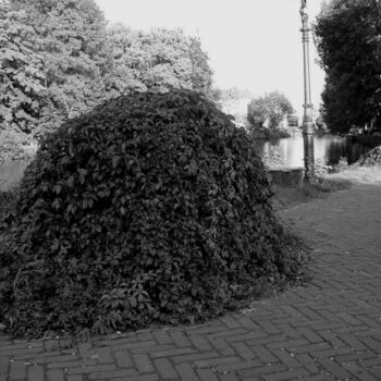 Fotografie mit dem Titel "Vecht" von Rob Arbouw, Original-Kunstwerk
