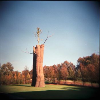 Fotografia intitolato "Giuseppe Penone scu…" da Gianluca Faletti, Opera d'arte originale