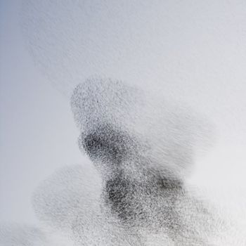 Photography titled "P.D.V. 12" by Ni.Be. Photography, Original Artwork