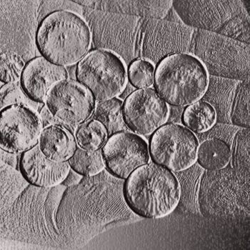 Artes digitais intitulada "Small Balls used in…" por Syed Rizvi, Obras de arte originais