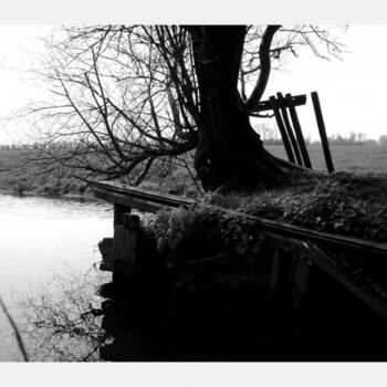 Photography titled "Tree-water" by Rob Arbouw, Original Artwork