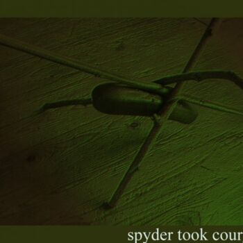 Photographie intitulée "Spider took courget…" par Rob Arbouw, Œuvre d'art originale