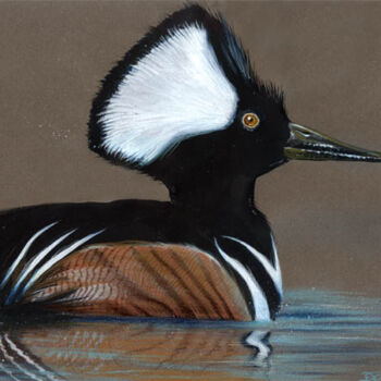 Peinture intitulée "Harle Couronné" par Florence Dellerie, Œuvre d'art originale, Huile