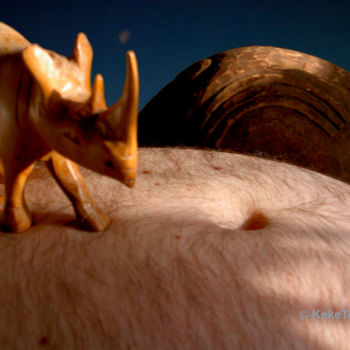 Photography titled "Rhinoceros in Love" by Top Keke, Original Artwork