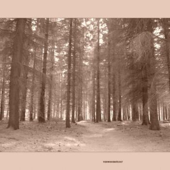 Photography titled "Venwoude C" by Rob Arbouw, Original Artwork