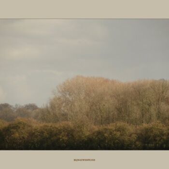 Photography titled "Rijnauwen A" by Rob Arbouw, Original Artwork