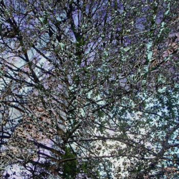 Digital Arts titled "Tree canopy high em…" by Millenia Foxtrot (Shadow Zero), Original Artwork