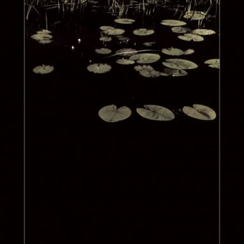 Photography titled "Nymphéa D" by Rob Arbouw, Original Artwork