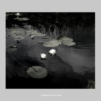 摄影 标题为“Nymphéa U” 由Rob Arbouw, 原创艺术品
