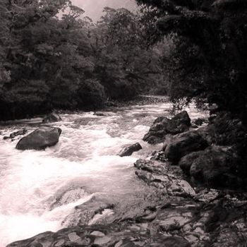 Photography titled "Running Stream" by Angelo Di Pietrantonio, Original Artwork