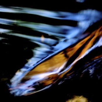 Photographie intitulée "Bois magnétique" par Claude Delmas, Œuvre d'art originale