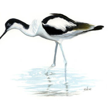 Peinture intitulée "Avocette élégante" par Florence Dellerie, Œuvre d'art originale, Huile