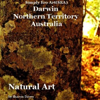 Photography titled "Book cover Natural…" by Ladymouse, Original Artwork