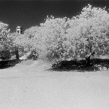 Fotografia intitolato "Acropolis – The park" da Gianluca Faletti, Opera d'arte originale