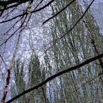 Digital Arts titled "Winter Forest 3" by Ken Grzesik, Original Artwork